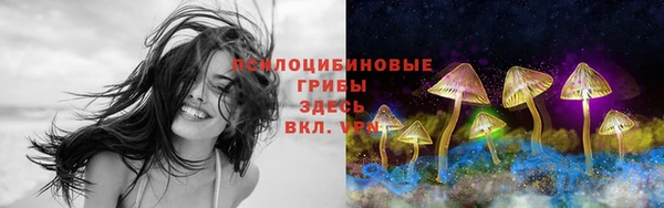МДМА Богданович