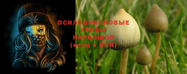 трава Богородицк