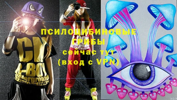 трава Богородицк