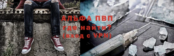 трава Богородицк