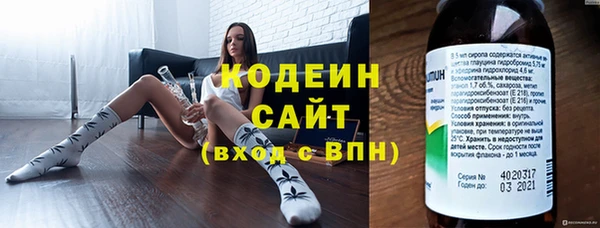 трава Богородицк