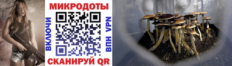Купить где  Елабуга  Галлюциногенные грибы MAGIC MUSHROOMS 